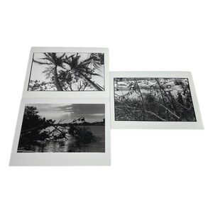 VTG Black and White Nature Art Prints Set of 3 size  9x11